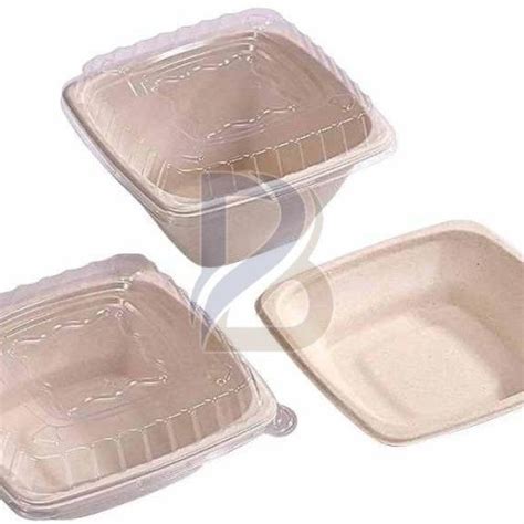 PET Lid Square Bagasse Bowl Manufacturers and Suppliers from Rajkot