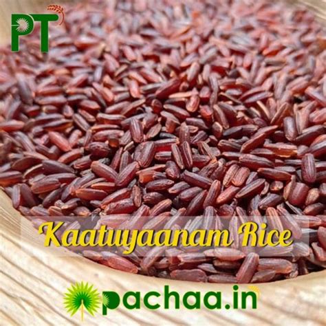 Buy Kaatuyaanam Rice 1Kg online in Chennai at www.Pachaa.in