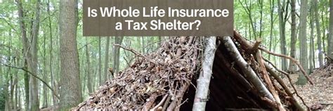 Life Insurance Tax Shelter 的图像结果