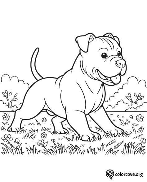 25 Free Pitbull Coloring Pages – The Color Cove