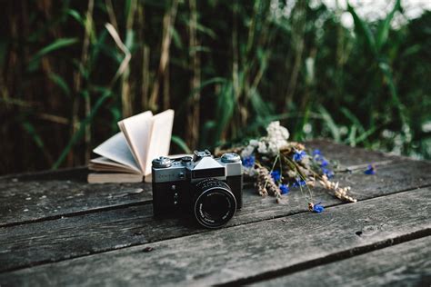 Stock Photos Free Commercial Use 的图像结果