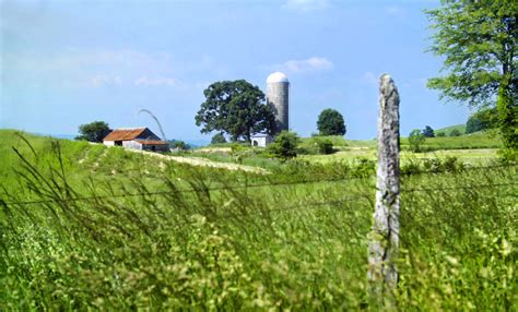 Mike's Mets (@MikesMets@mstdn.social) - Mastodon 🐘