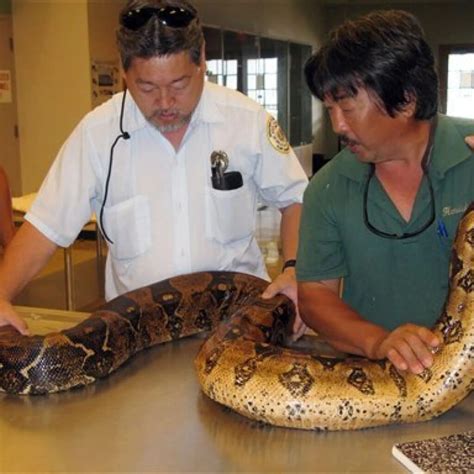 Are There Snakes in Hawaii? The Surprising Truth Locals Wish Every ...