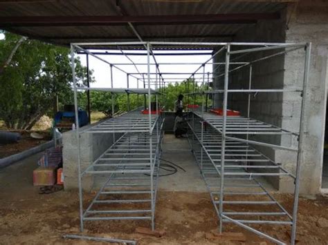 Hydroponic Fooder - Hydroponics Fodder Growing Unit Service Provider ...