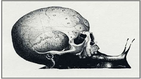Optical Illusion: Spot one out of three different images which tell ...