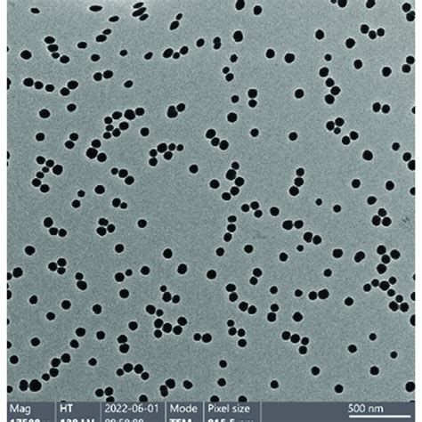 SiO2 Particles 的图像结果