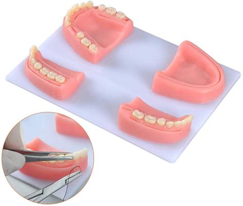 Buy 4-In-1Oral Suture Training Simulator - Multiple Wound Types Oral ...