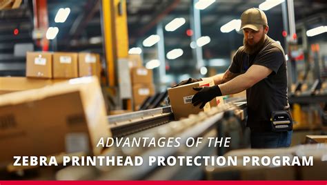 Image result for Zebra Program