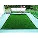 Buy Chetanya Loomtex High Density Artificial Grass Carpet for Balcony ...