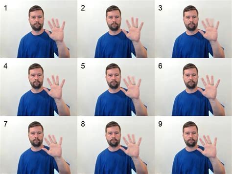 Image result for Sign Language Hello