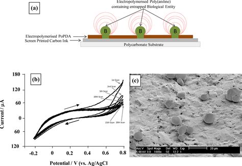 Sonochemically Fabricated Microelectrode Arrays for Use as Sensing ...