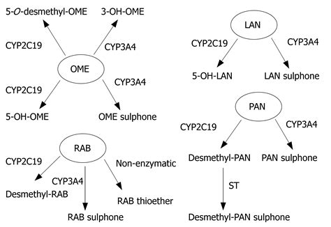 Rational prescription of drugs within similar therapeutic or structural ...