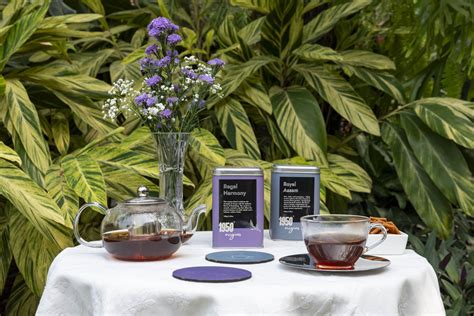 1950 Origins - Tea That Brings You Back Home