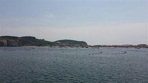 CHANGHAI (2026) All You Need to Know BEFORE You Go (with Reviews ...