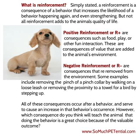 Image result for Negative Reinforcement Examples