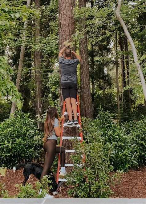 How to Connect String Lights 的图像结果