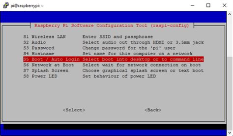 Raspberry Pi RDP Client 的图像结果