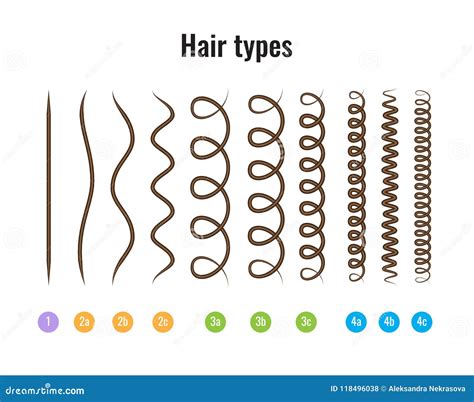 Hair Type Chart Men