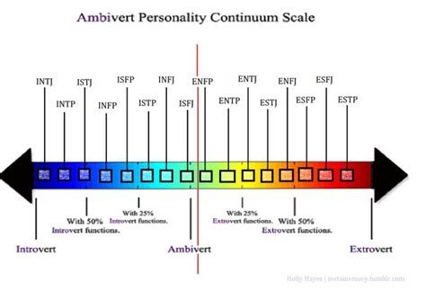 Image result for Introvert-Extrovert Spectrum