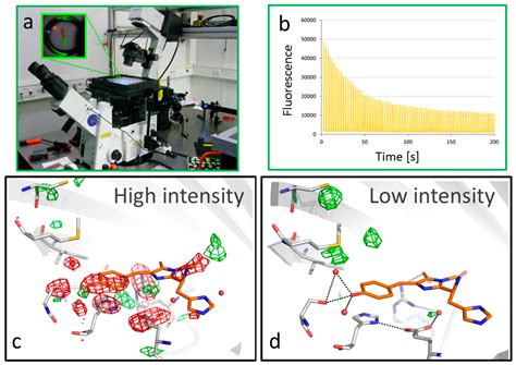 Deciphering Structural Photophysics of Fluorescent Proteins by Kinetic ...
