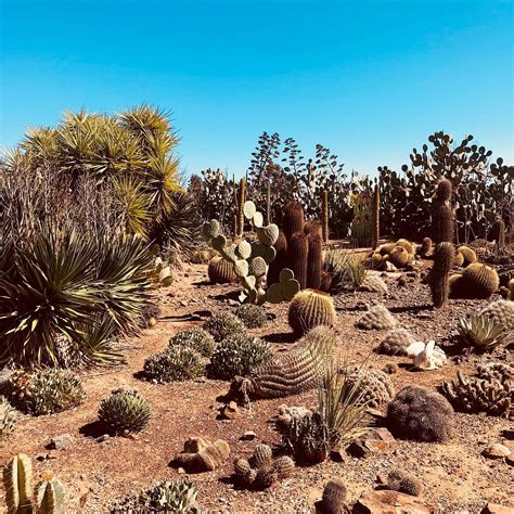 𝗧𝗛𝗘 𝗕𝗘𝗦𝗧 Hotels in Strathmerton of 2026 (with Prices)