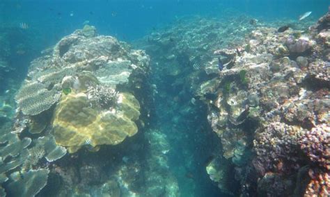 Iba Tourism (2023): Best of Iba, Philippines - Tripadvisor