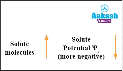 Plant Water Relations: Water Potential, Solute Potential, Pressure ...
