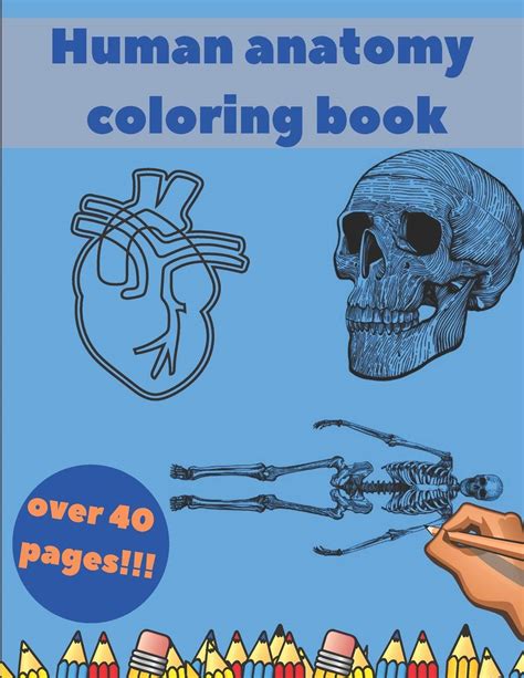 Buy Human Anatomy Coloring Book: Learning For Kids Beginner Knowledge ...