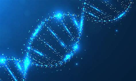 Bioinformatics 的图像结果