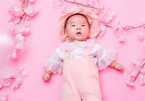 2019猪年12月20号出生的男宝宝怎么样起名字-周易起名-国学梦