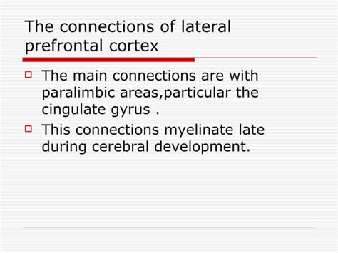 Image result for Prefrontal Cortex Location