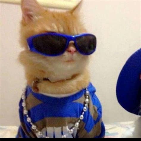 Pin de Ëstrëllä Ändre en Guardado rápido | Fotografías divertidas de ...