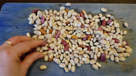 Image result for Hand Sorting Method