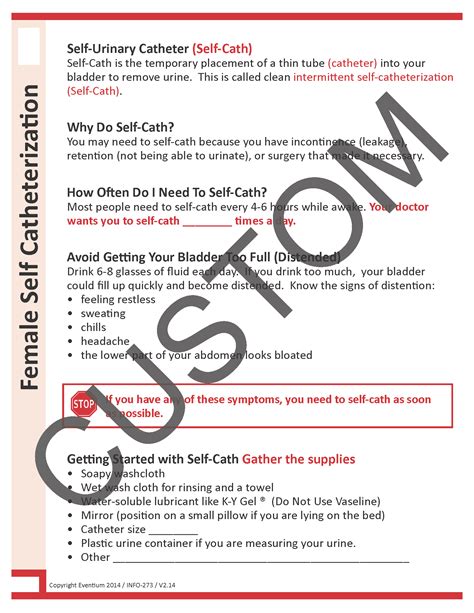Female Self Catheterization Custom | Eventium