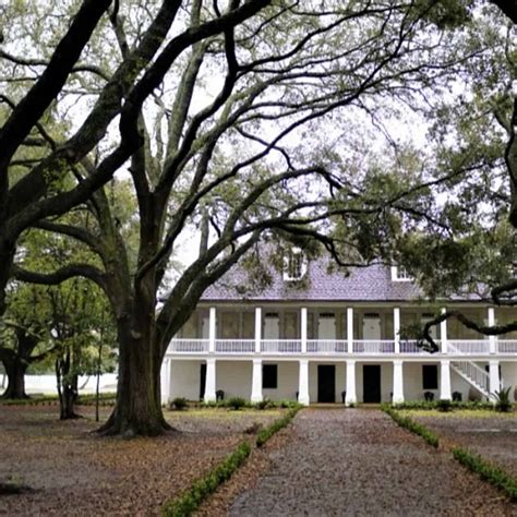 New Orleans: Whitney Plantation Tour with Transportation Included ...