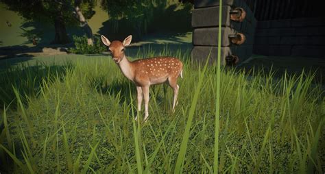 I love the color variations of the European Deers (not sure how is the ...