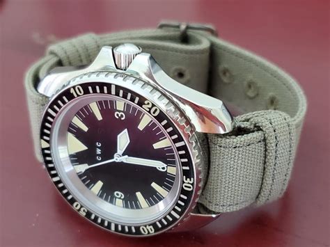 Image result for CWC Diver