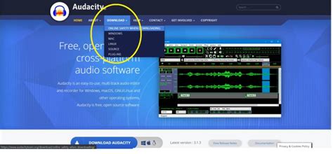 Audacity License 的图像结果