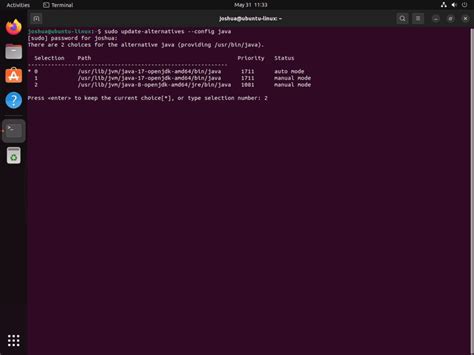 How to Use Java OpenJDK 8 的图像结果
