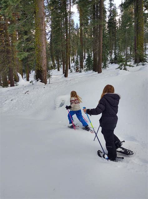 Snowshoe with a Ranger, Dodge Ridge Rd, Pinecrest, CA 95364, United ...