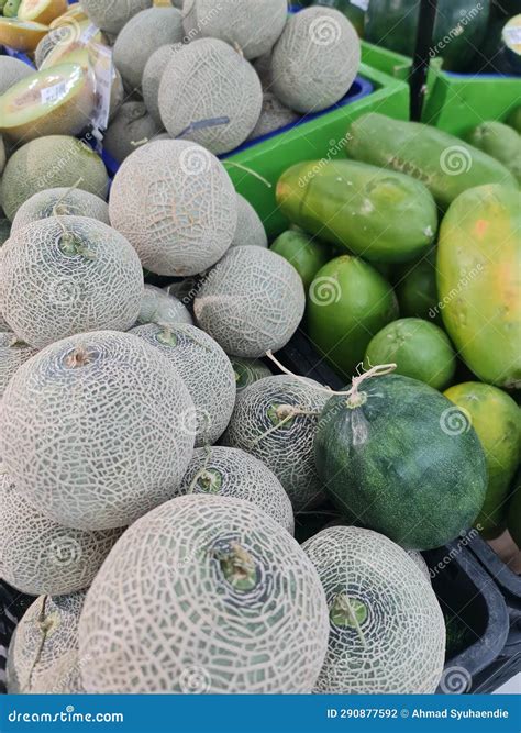 Melons Family, Melons and Watermelons and Papayas Too Stock Photo - Image of apple, agriculture ...