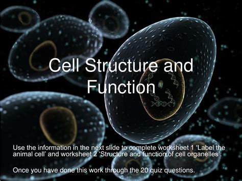 Cell Structure and Function 的图像结果