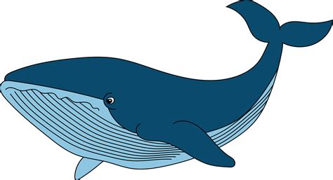 Whale Clipart Free
