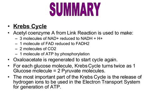 Respiration | PPT