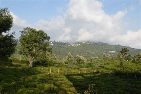 Offbeat hill stations in South India for your 2024 travel wishlist ...