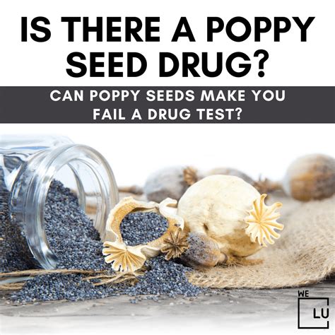 Is There A Poppy Seed Drug? Poppy Seed Effects On Drug Test
