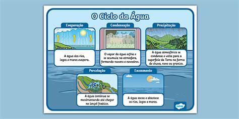 O Ciclo da Água - cartaz (teacher made) - Twinkl