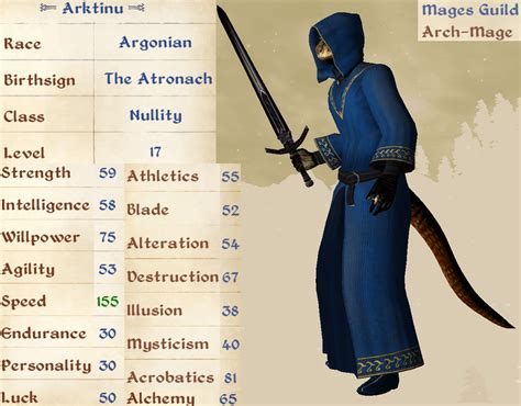 Image result for Daggerfall vs Skyrim