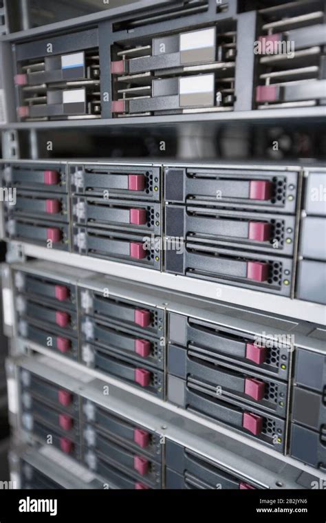 Server 的图像结果