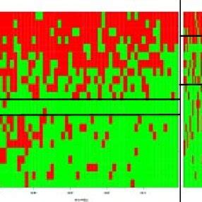 DNA Microarray 的图像结果